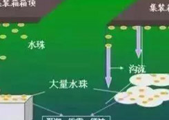 集裝箱里進水，誰的錯？如何預防應對？