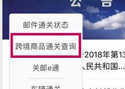 聽說,城市服務里上線了您的跨境電商額度“保衛者”
