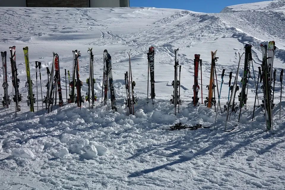滑雪杖滑雪屐進口清關，滑雪用具進口進保稅倉流程，2022新版跨境電子商務零售進口商品清單
