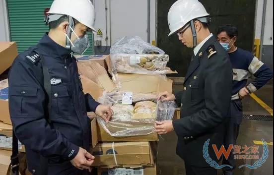 解密！為什么有的海關(guān)查獲貨物要銷毀？貨之家