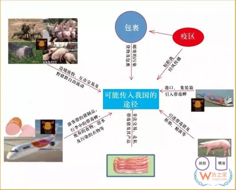 非洲豬瘟防控，你需要知道的在這里！貨之家