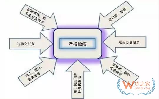 非洲豬瘟防控，你需要知道的在這里！貨之家