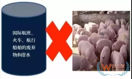 非洲豬瘟防控，你需要知道的在這里！貨之家