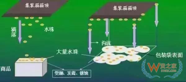 集裝箱里進水，誰的錯？如何預防應對？貨之家